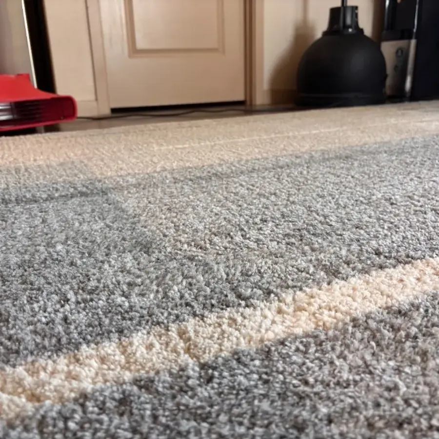 Close detail of rug pile after cleaning, showing the fiber standing back up