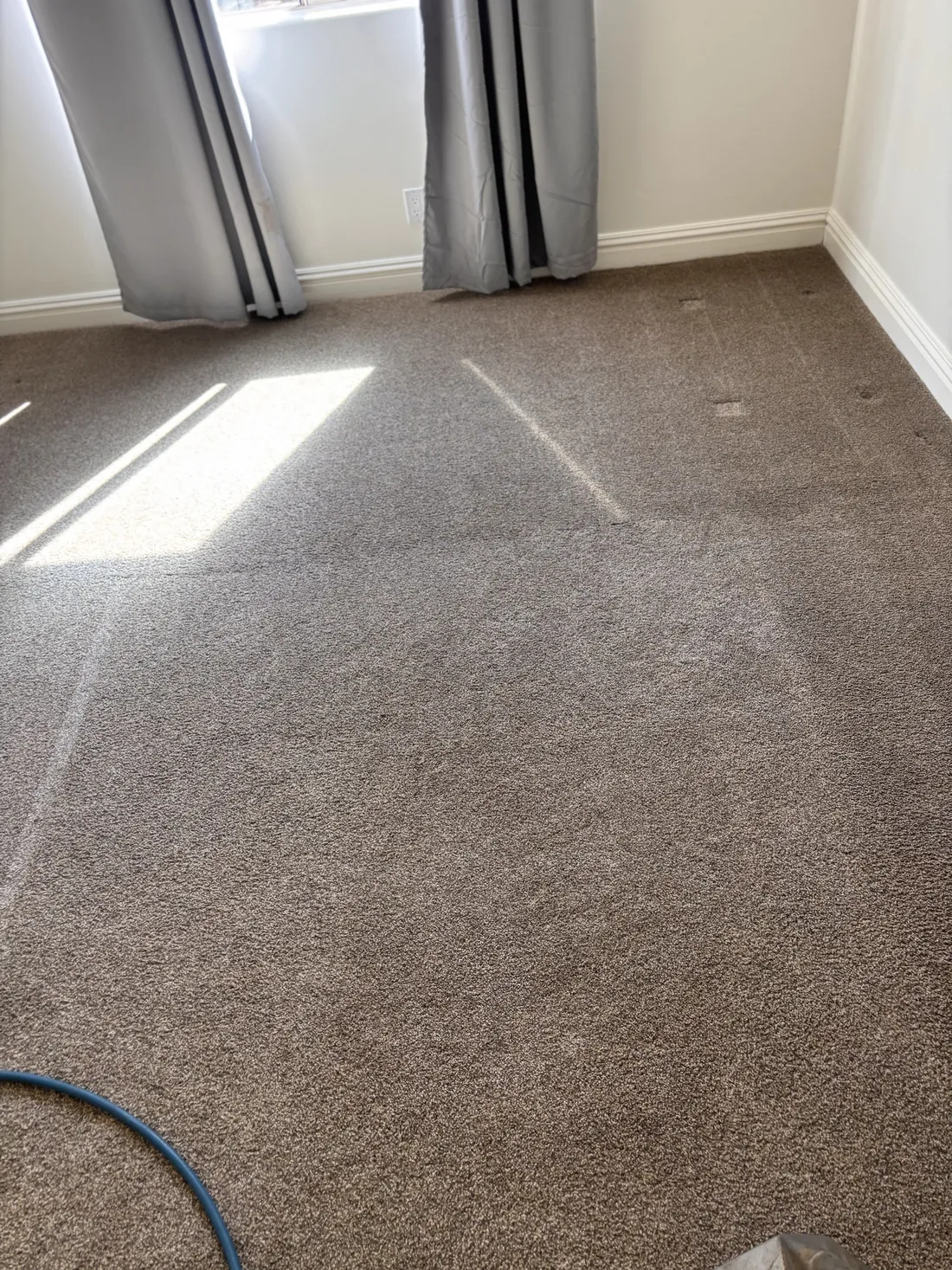Brown bedroom carpet with visible cleaning passes running across the room, pet stain and odor removal in San Tan Valley AZ