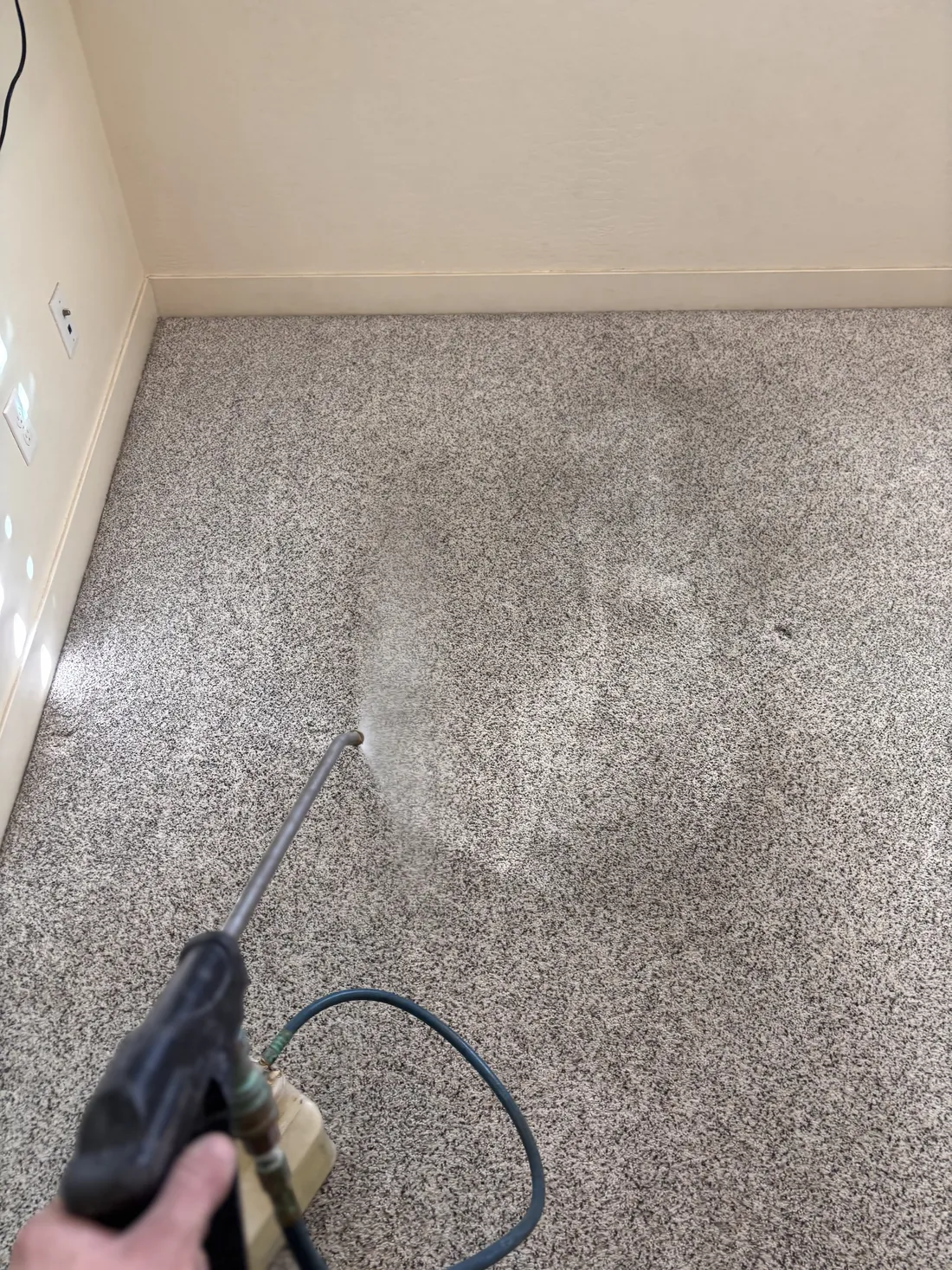 Bedroom carpet speckled with pre-spray before extraction, pet stain and odor removal in Chandler AZ