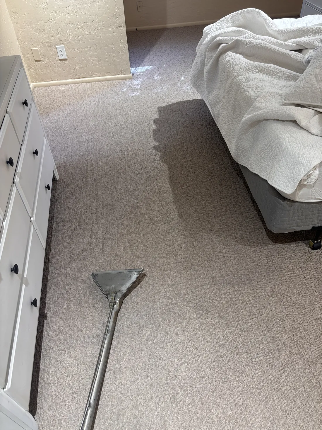 Bedroom carpet partway through cleaning with the wand set down on the wet section, pet stain and odor removal in Apache Junction AZ