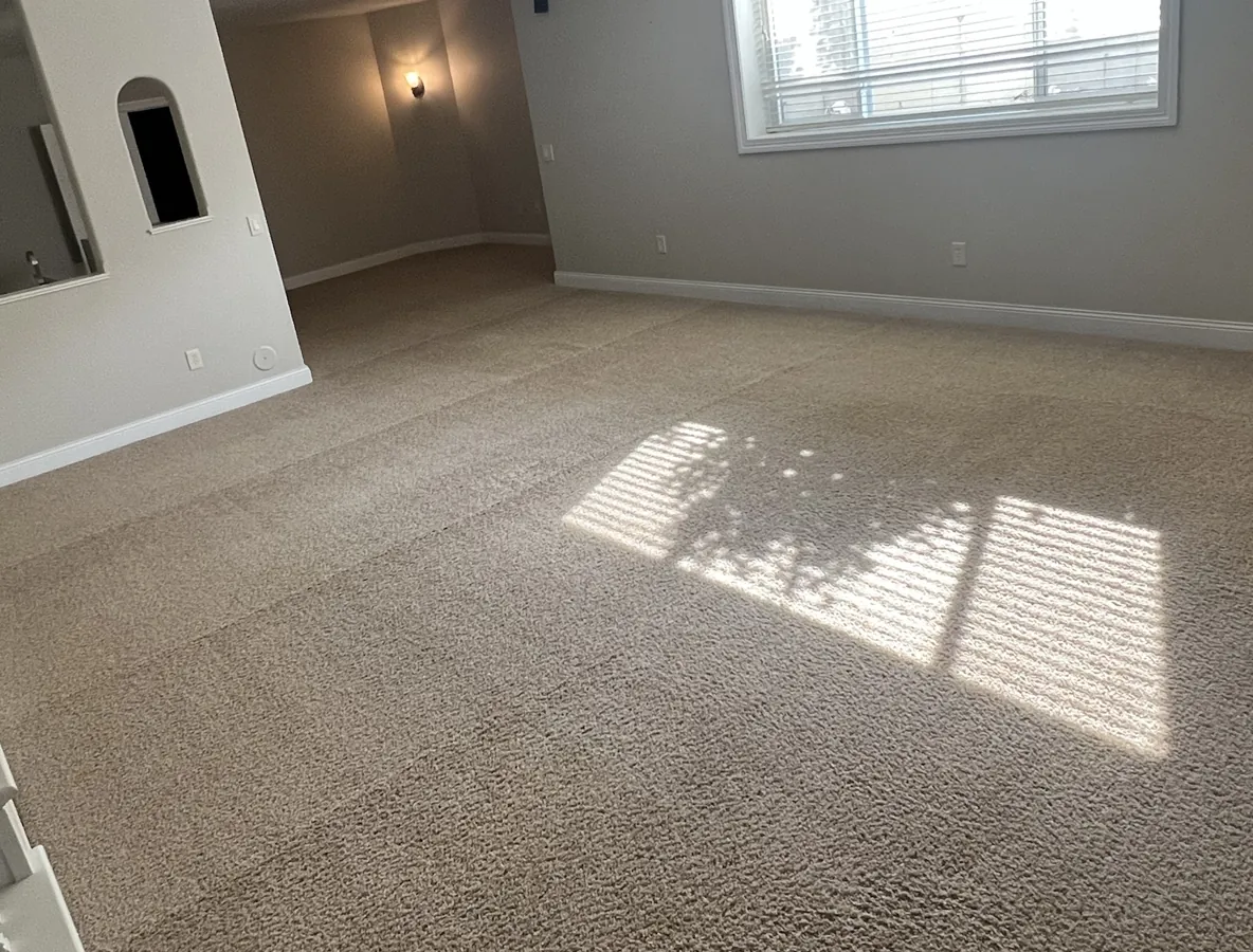 Living room carpet cleaned wall to wall