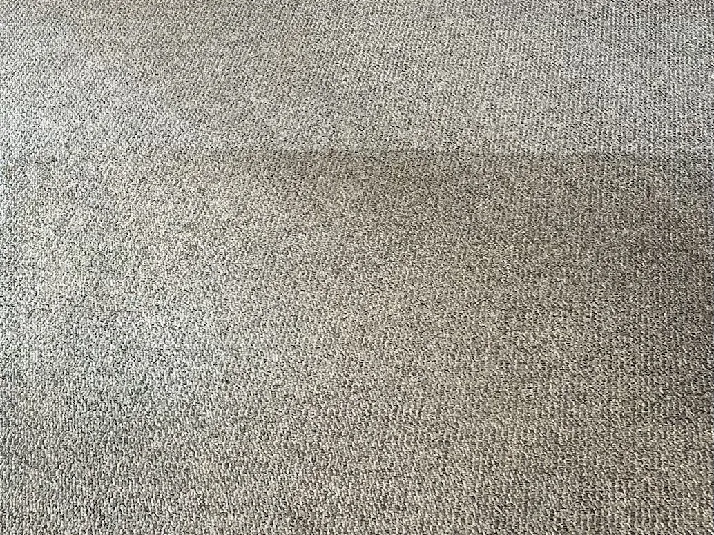 Hallway carpet mid-clean, the cleaned line against the soiled side