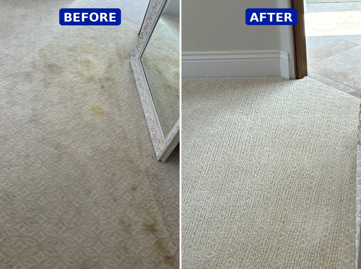 Pet stain lifted out of carpet, before and after in one pass