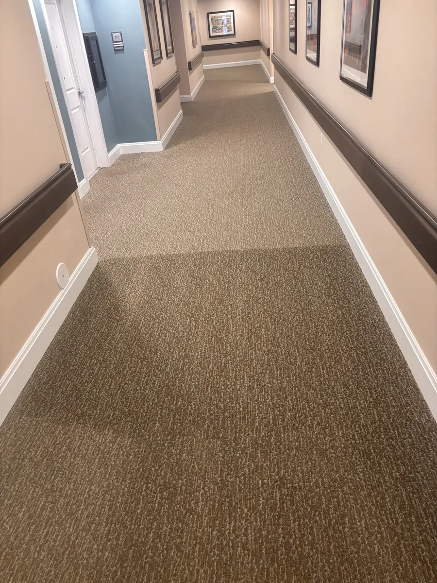 Corridor carpet mid-clean, the cleaned line against the soiled side