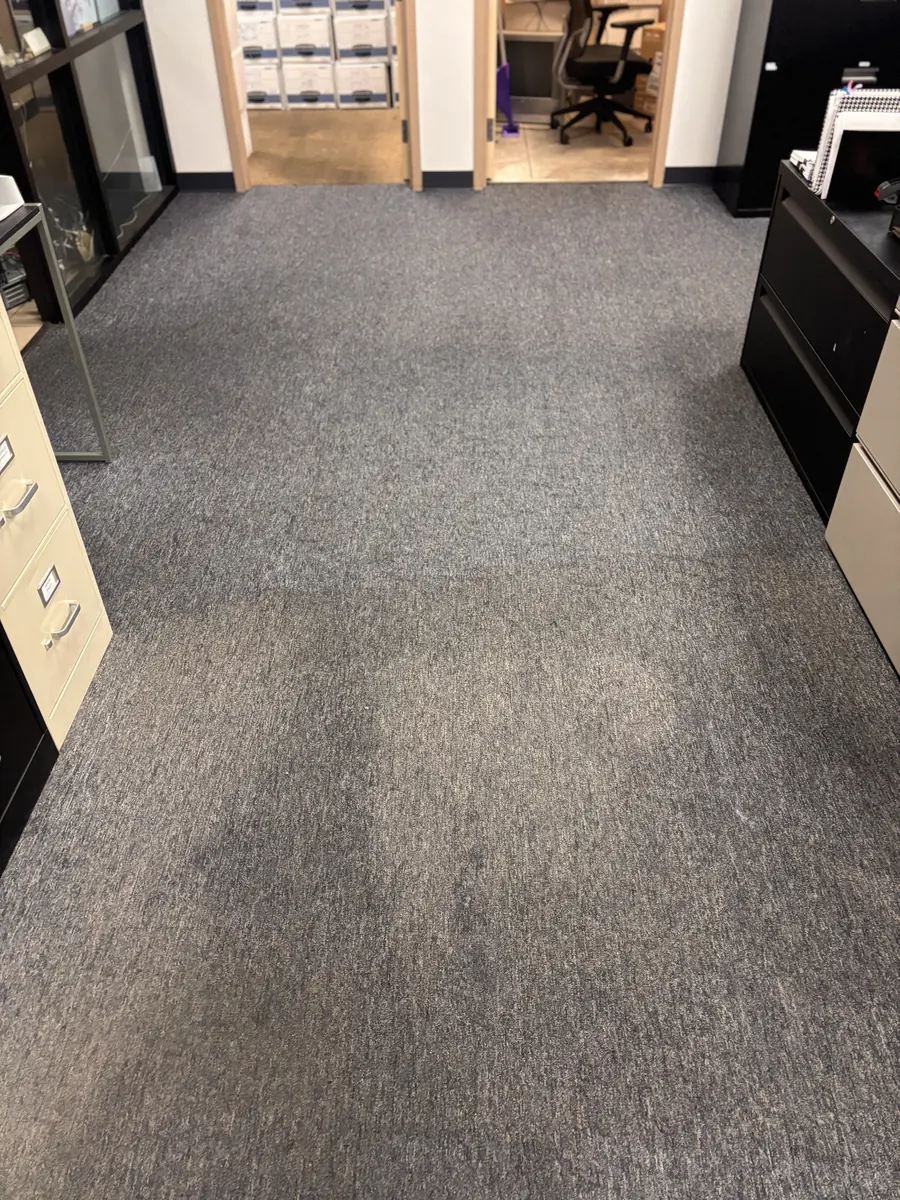 Office carpet after cleaning