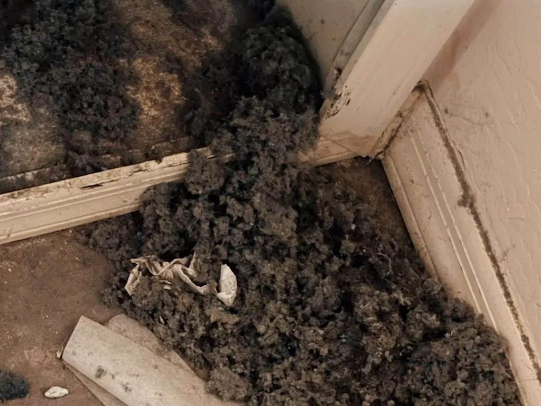 Packed lint pulled out of a dryer vent line