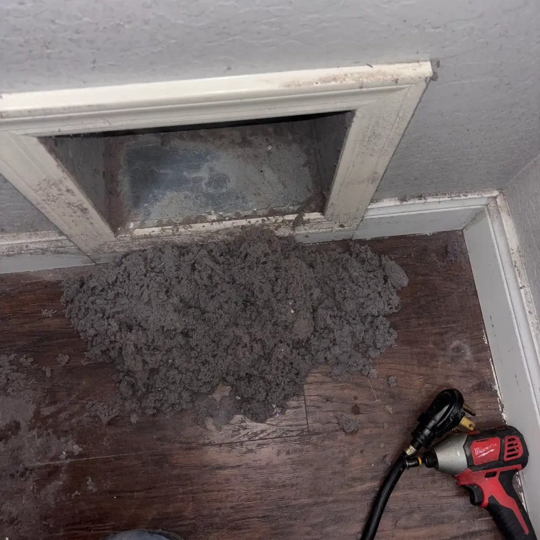Pile of lint at the wall opening