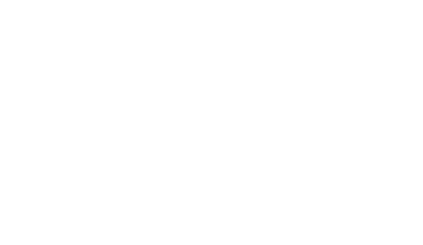 Pfaff Cleaning Co.