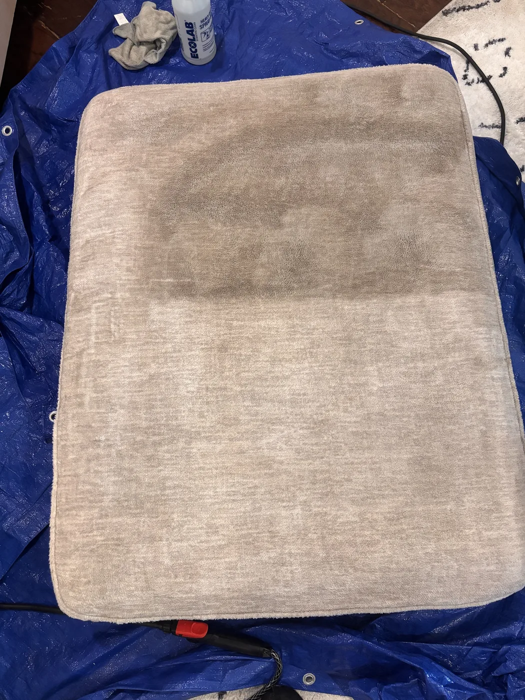 Sofa cushion mid-clean, soiled above the line and cleaned below